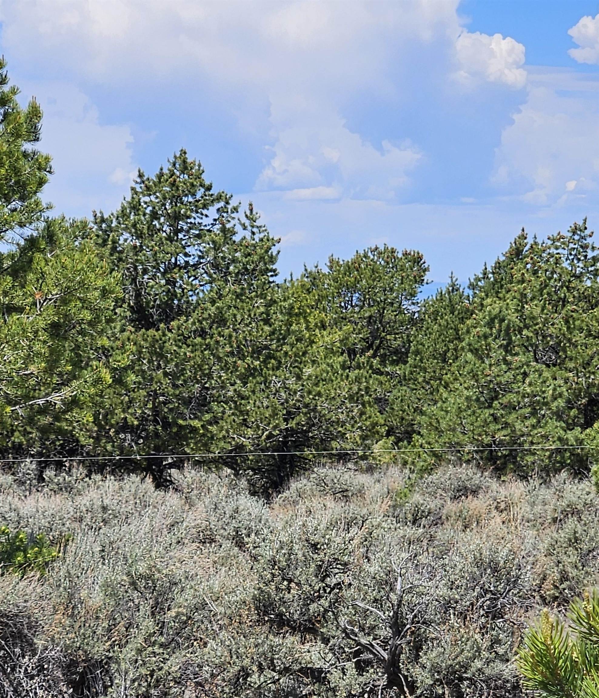 Questa, New Mexico 87556, United States, 2 Bedrooms Bedrooms, ,Residential,Active,171743