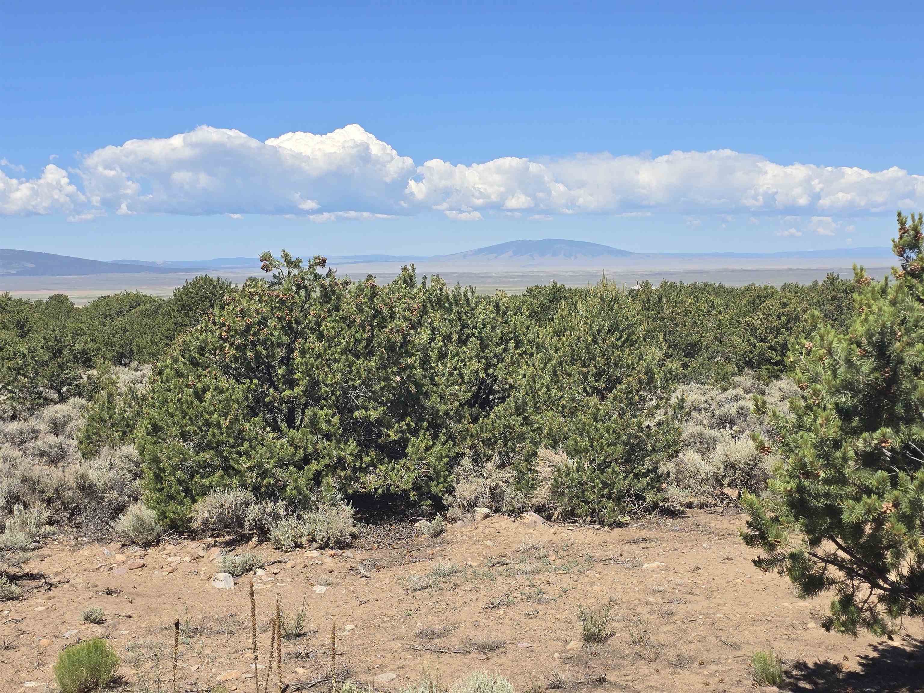 Questa, New Mexico 87556, United States, 2 Bedrooms Bedrooms, ,Residential,Active,171743