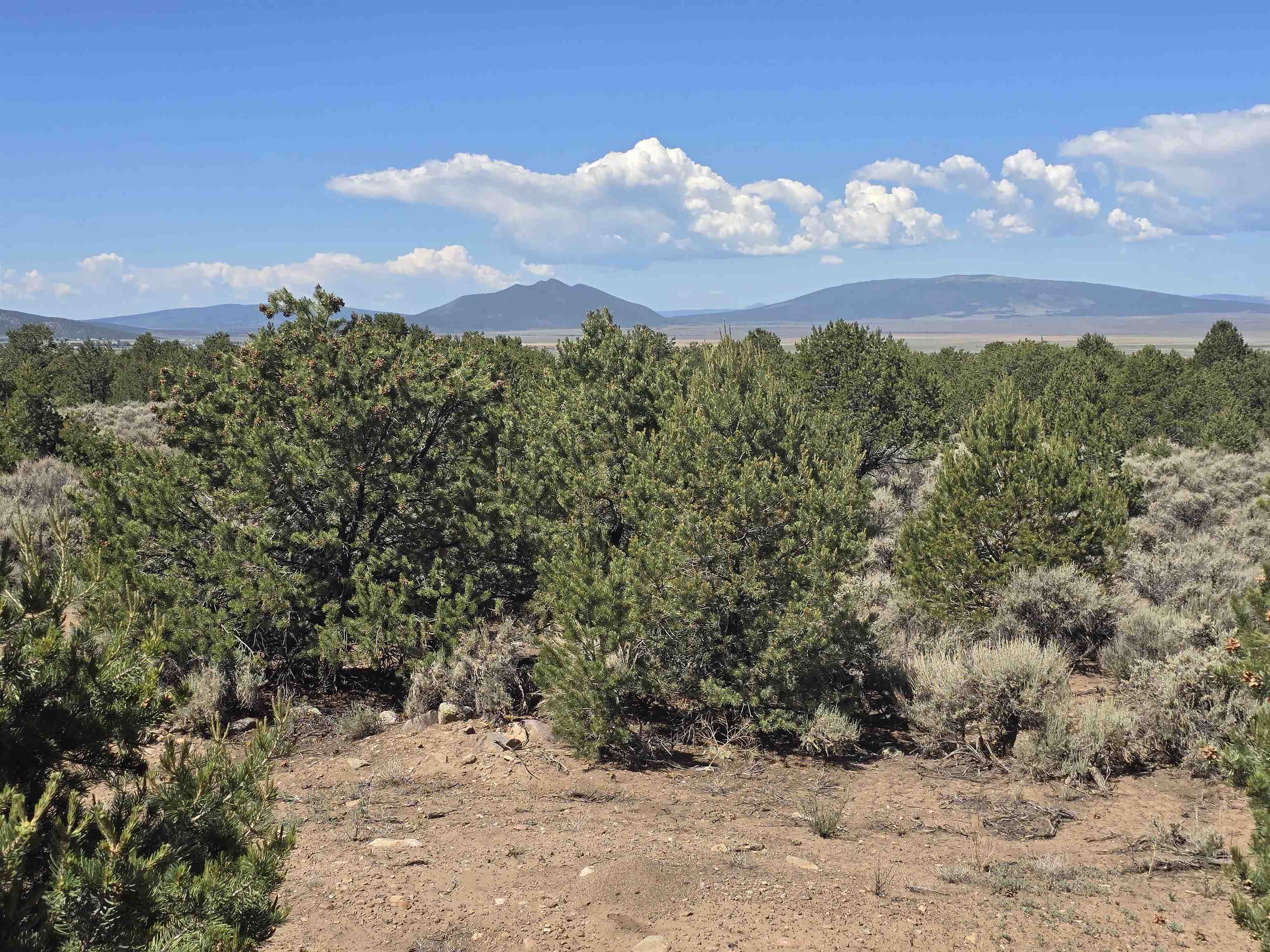 Questa, New Mexico 87556, United States, 2 Bedrooms Bedrooms, ,Residential,Active,171743