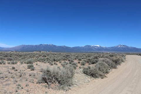 Vacant Land For Sale - 139 Earthship Way   Tract 41<br/> Tres Piedras, NM 87557