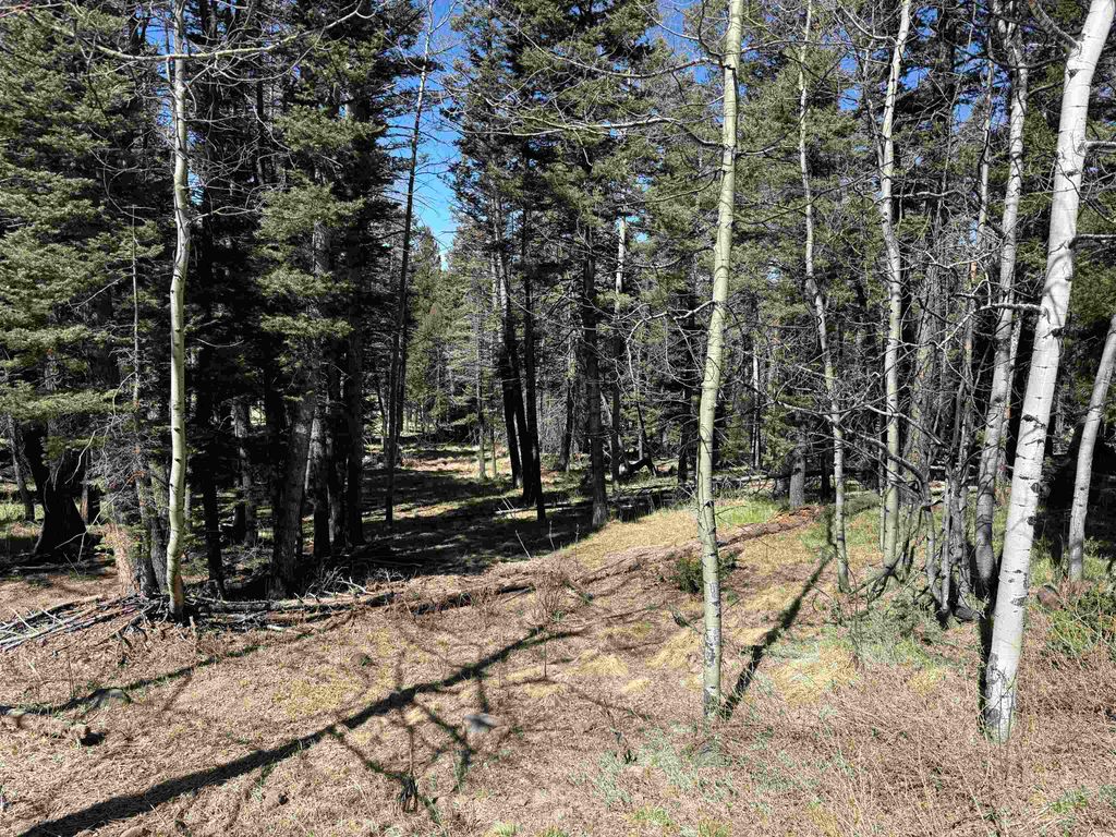 Photo of 1451 El Camino Real, Angel Fire, NM 87710 (MLS # 113211)