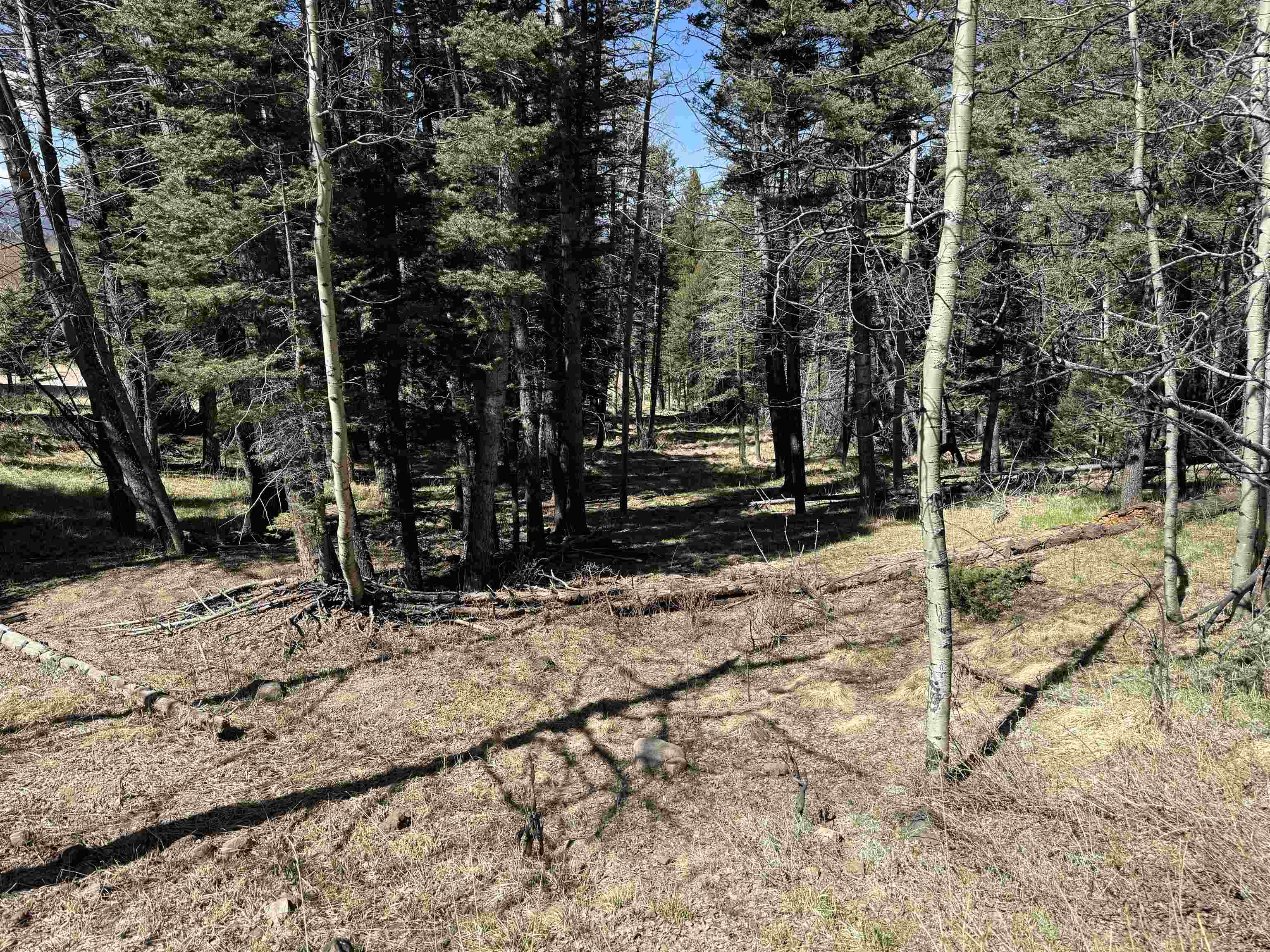 1451 El Camino Real, Angel Fire, New Mexico image 1