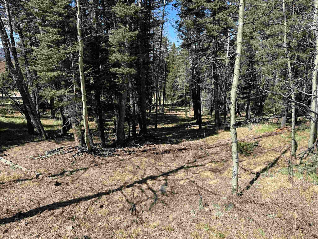 Photo of 1451 El Camino Real, Angel Fire, NM 87710 (MLS # 113211)