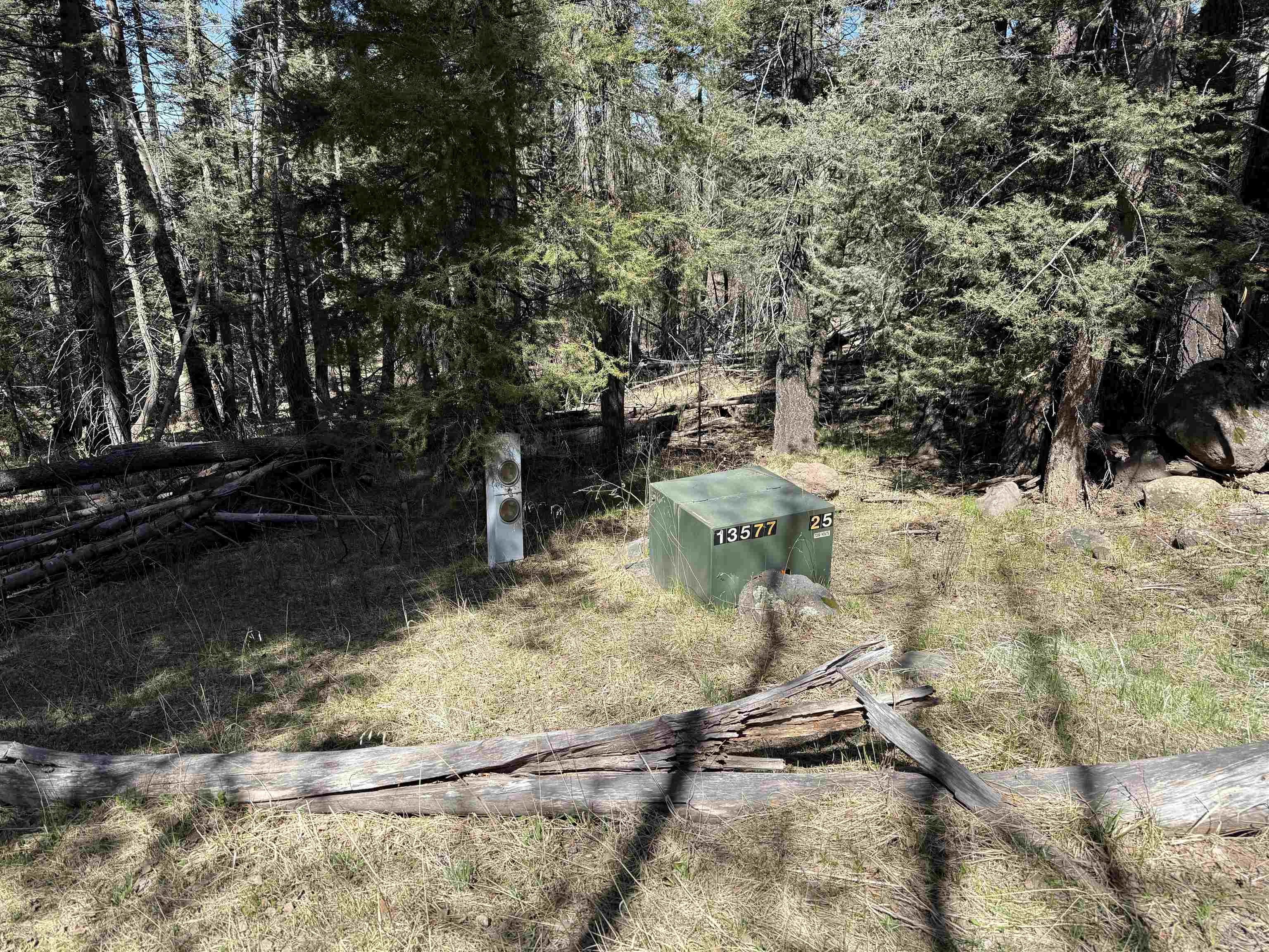 1451 El Camino Real, Angel Fire, New Mexico image 5