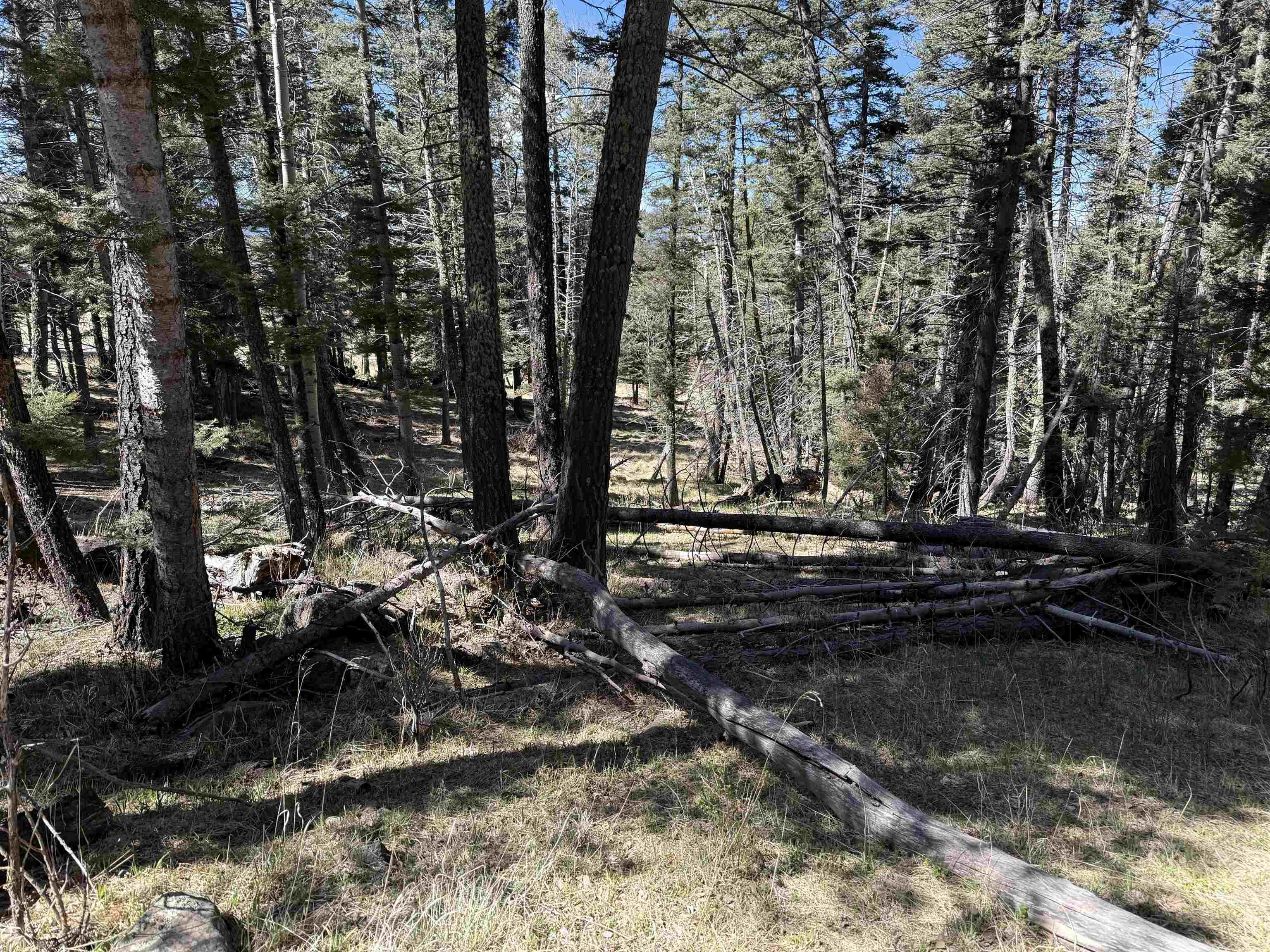 1451 El Camino Real, Angel Fire, New Mexico image 3