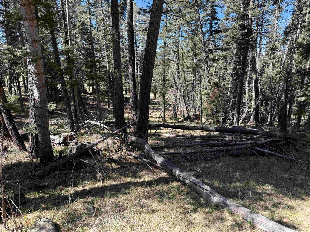 Photo of 1451 El Camino Real, Angel Fire, NM 87710 (MLS # 113211)