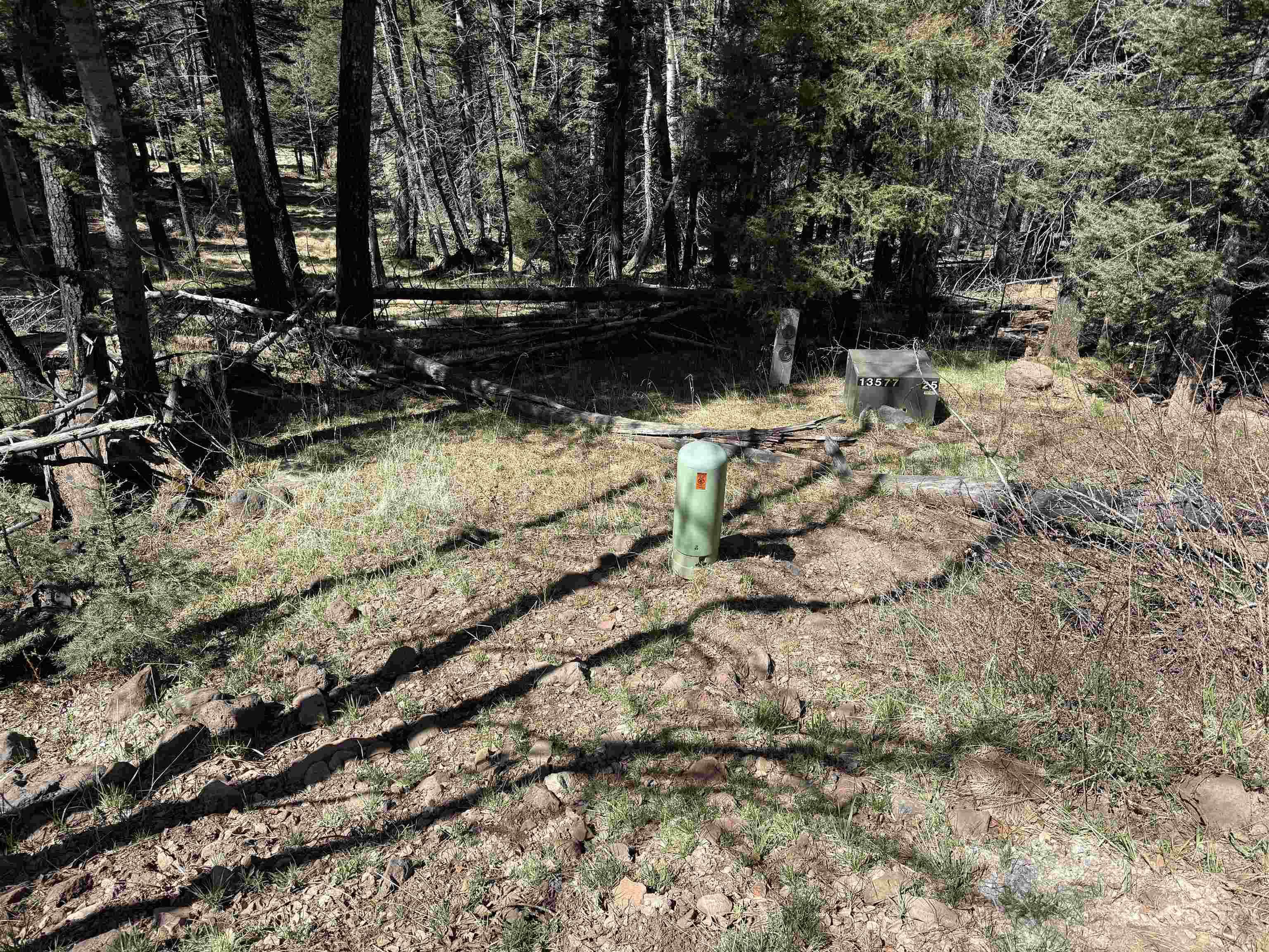 1451 El Camino Real, Angel Fire, New Mexico image 4