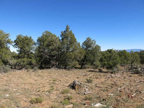 Vacant Land For Sale - 41 Servilleta Lot 41<br/> Tres Piedras, NM 87577