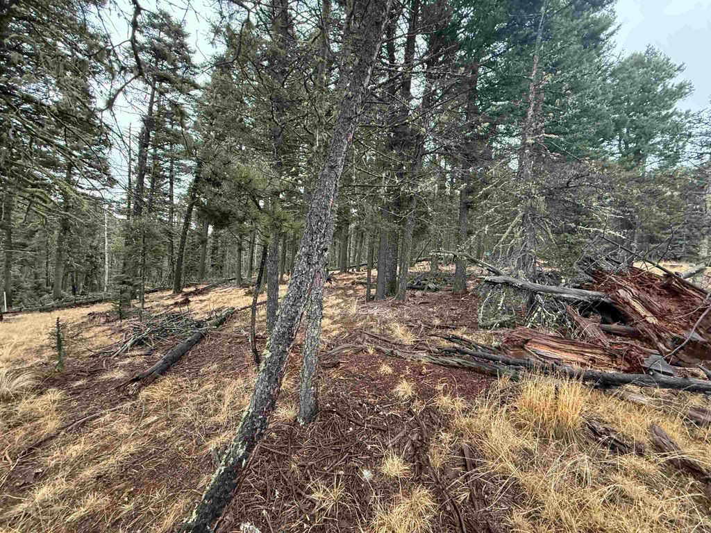 Photo of Lot 99 Via Del Rey, Angel Fire, NM 87710 (MLS # 114314)