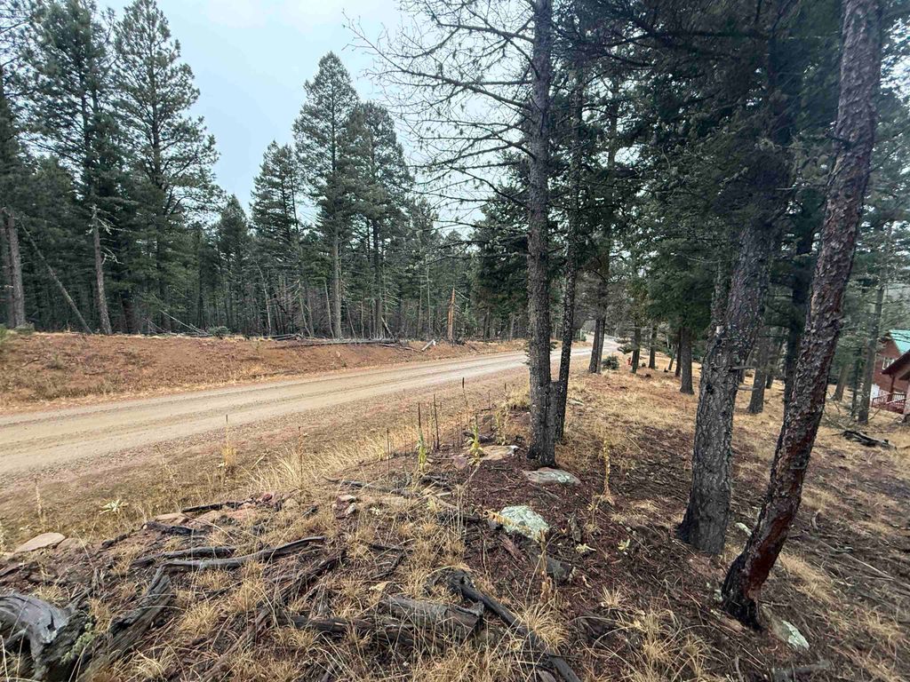Photo of Lot 99 Via Del Rey, Angel Fire, NM 87710 (MLS # 114314)