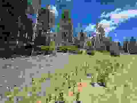 Slider Thumb