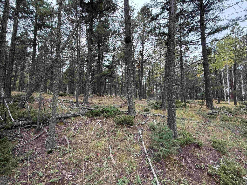Photo of Lot 173 Snowbird Ln, Angel Fire, NM 87710 (MLS # 114050)