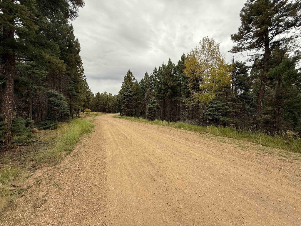 Photo of Lot 173 Snowbird Ln, Angel Fire, NM 87710 (MLS # 114050)