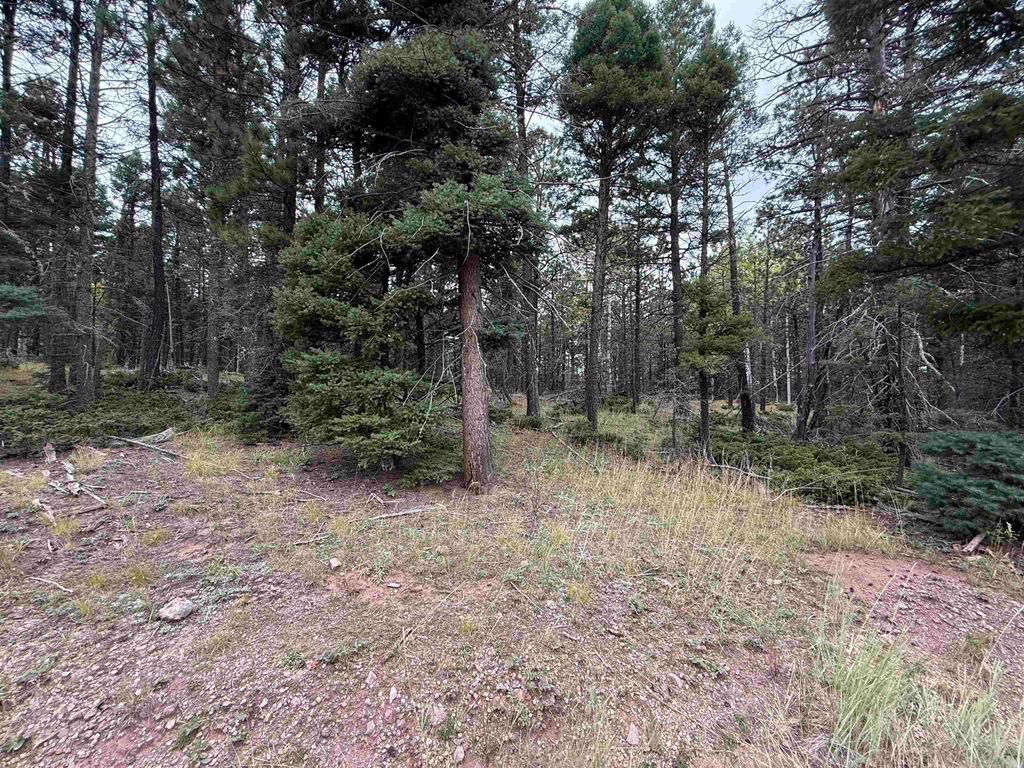 Photo of Lot 173 Snowbird Ln, Angel Fire, NM 87710 (MLS # 114050)