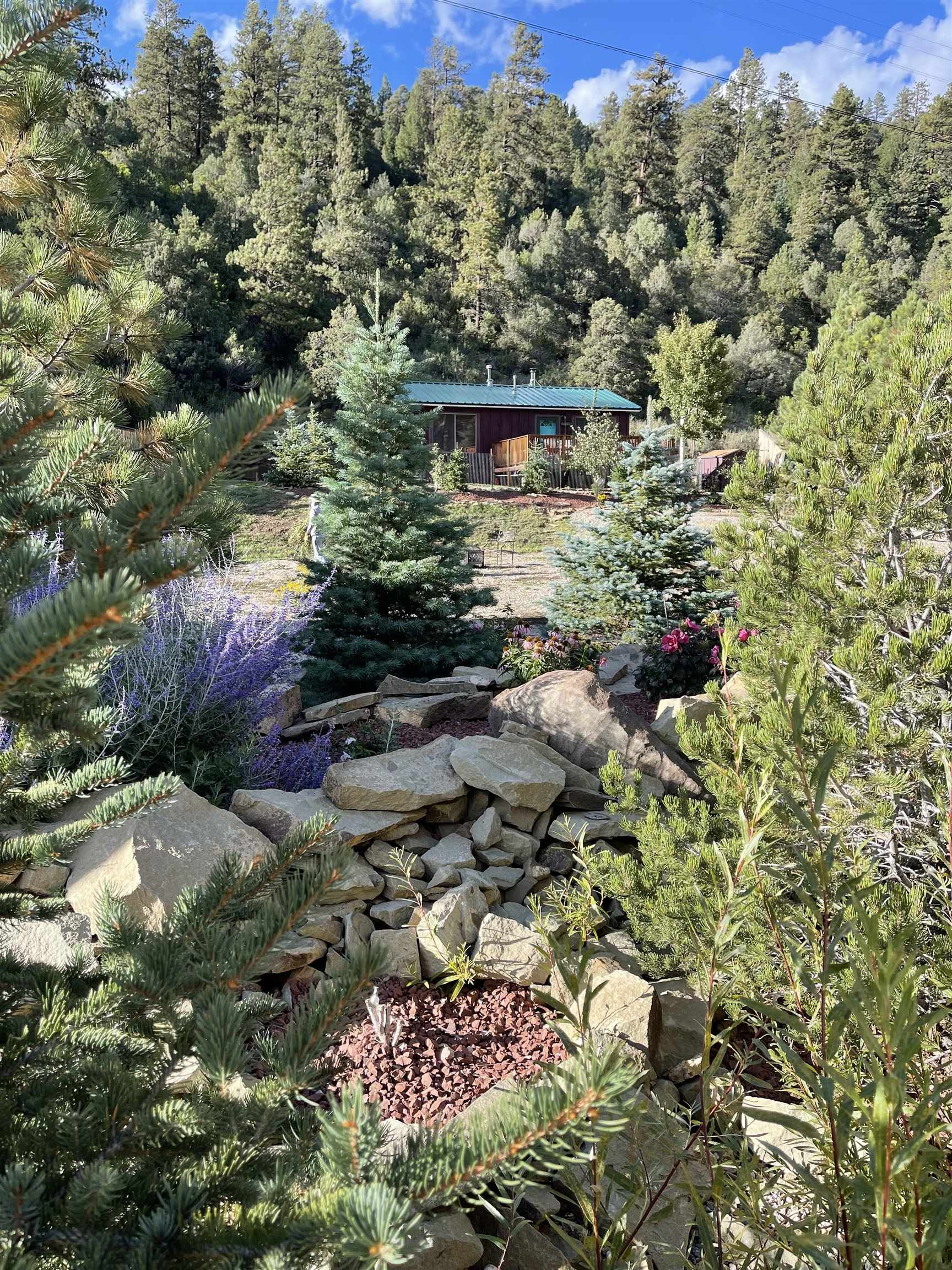 26545 E Us Hwy 64, Taos, New Mexico image 33