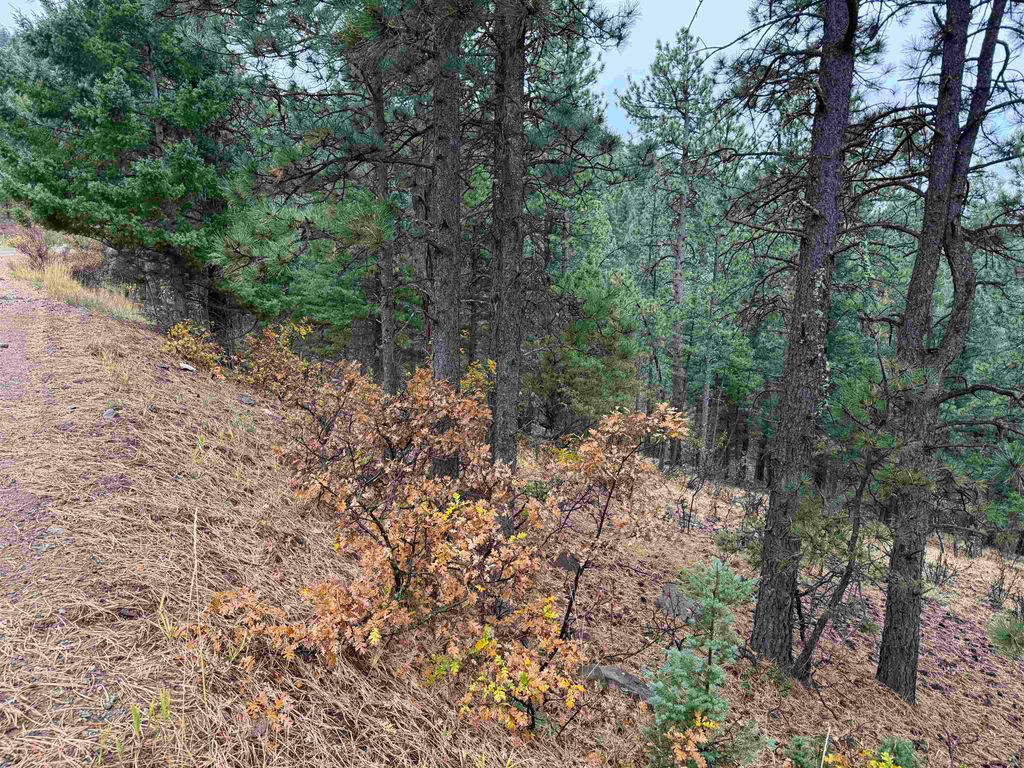Photo of Lot 121 Valley Rd, Angel Fire, NM 87710 (MLS # 114253)