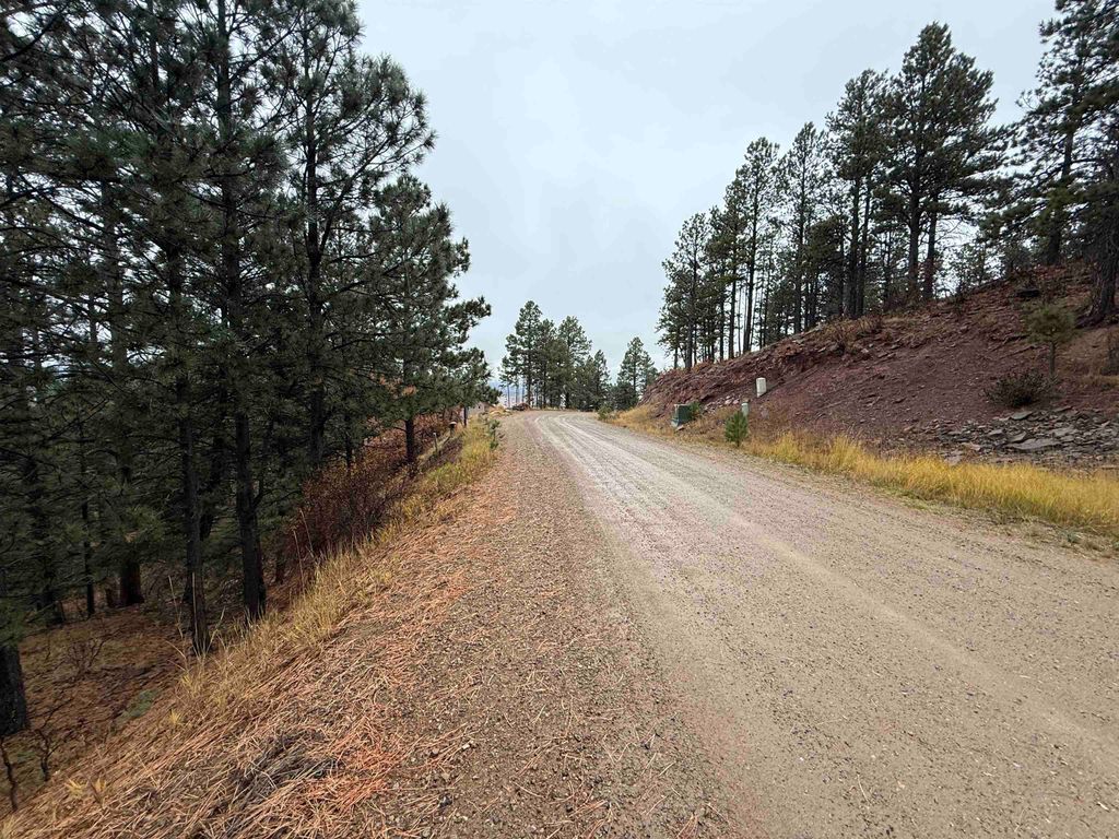 Photo of Lot 121 Valley Rd, Angel Fire, NM 87710 (MLS # 114253)