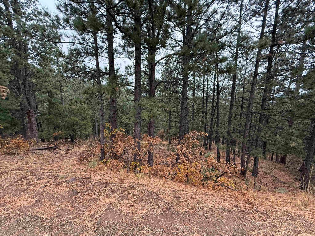 Photo of Lot 121 Valley Rd, Angel Fire, NM 87710 (MLS # 114253)