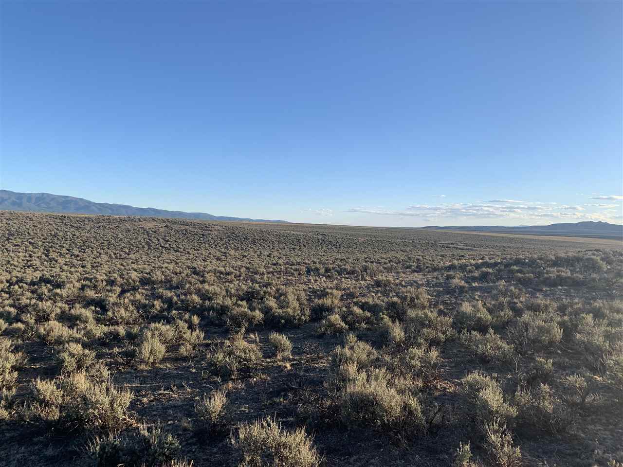 Tune Drive, El Prado, New Mexico image 2