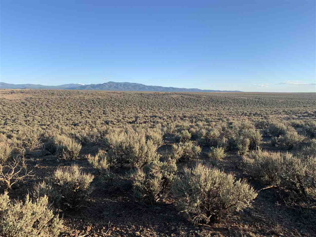 Tune Drive, El Prado, New Mexico image 3