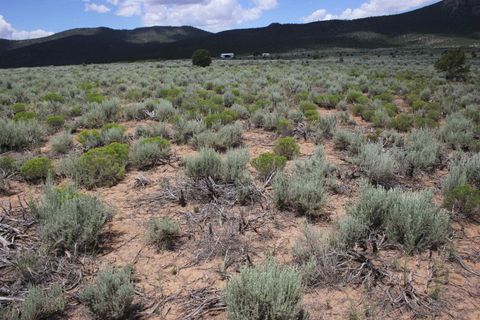 Vacant Land For Sale - LOT D Shirley Drive<br/> Questa, NM 87556