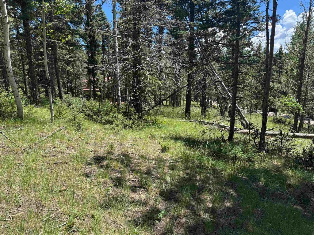 Photo of Lot 44 Calle de los Indios, Angel Fire, NM 87710 (MLS # 113812)
