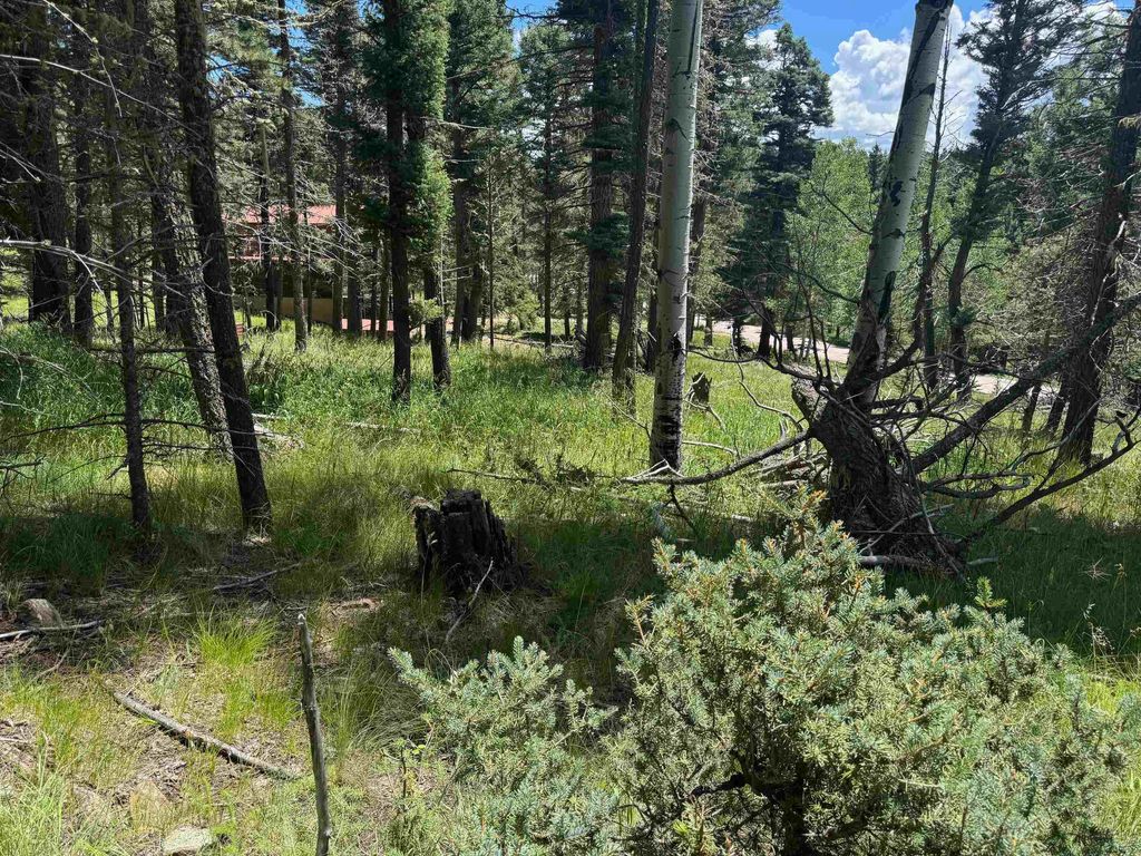 Photo of Lot 44 Calle de los Indios, Angel Fire, NM 87710 (MLS # 113812)