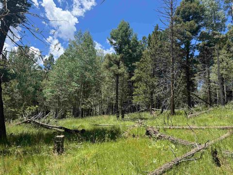 Photo of Lot 44 Calle de los Indios, Angel Fire, NM 87710 (MLS # 113812)