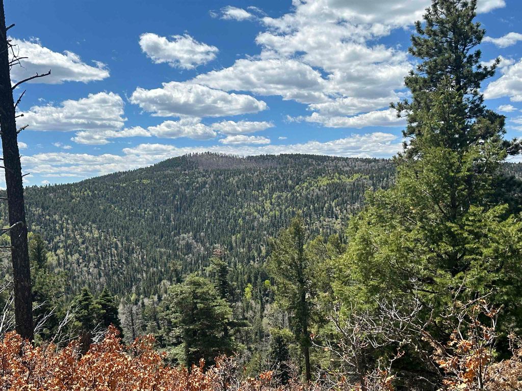 Photo of Lots 16 Lot17 Palo Flechado Ridge Road, Angel Fire, NM 87710 (MLS # 111754)