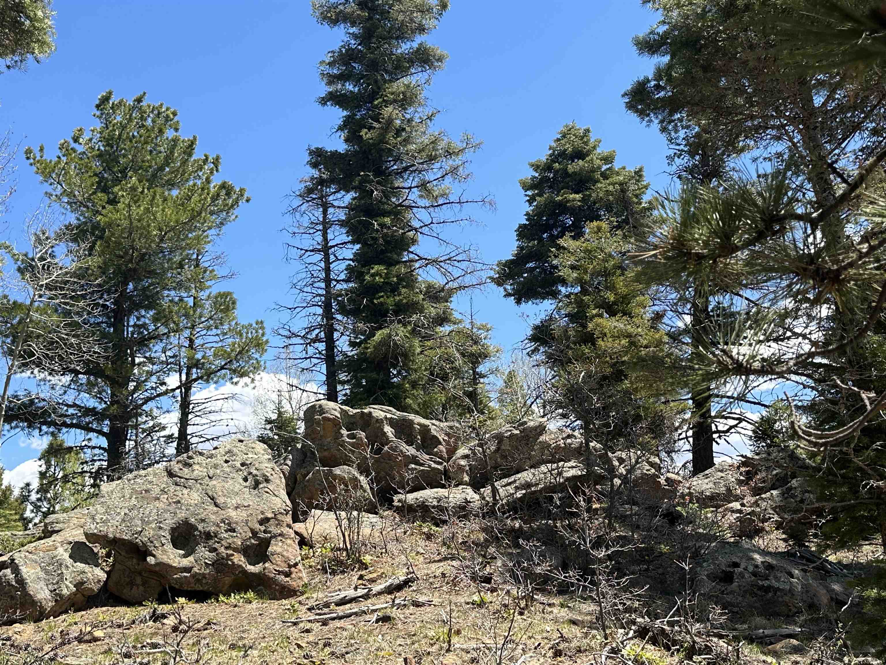 Lots 16 Lot17 Palo Flechado Ridge Road #65, Angel Fire, Texas image 9