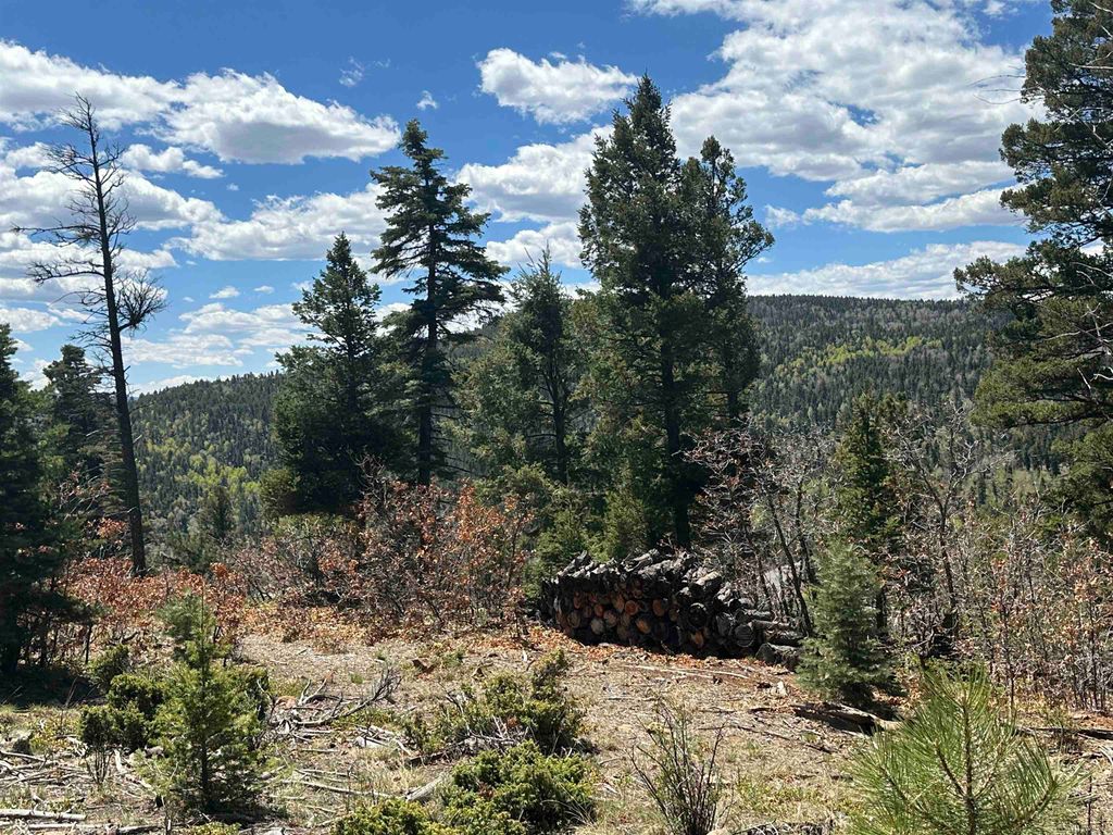 Photo of Lots 16 Lot17 Palo Flechado Ridge Road, Angel Fire, NM 87710 (MLS # 111754)