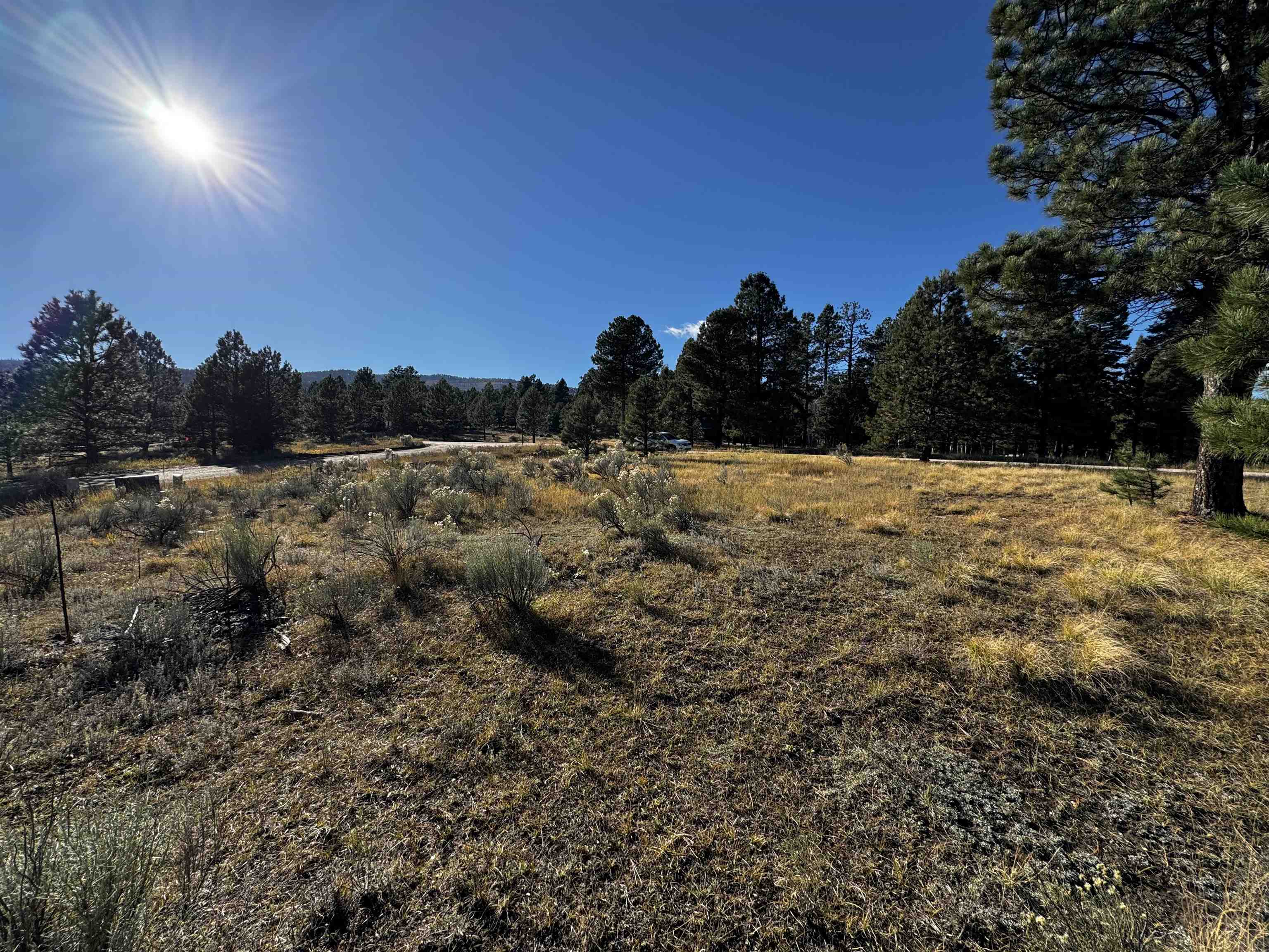 1290 Torrey Pines Ln, Angel Fire, New Mexico image 9