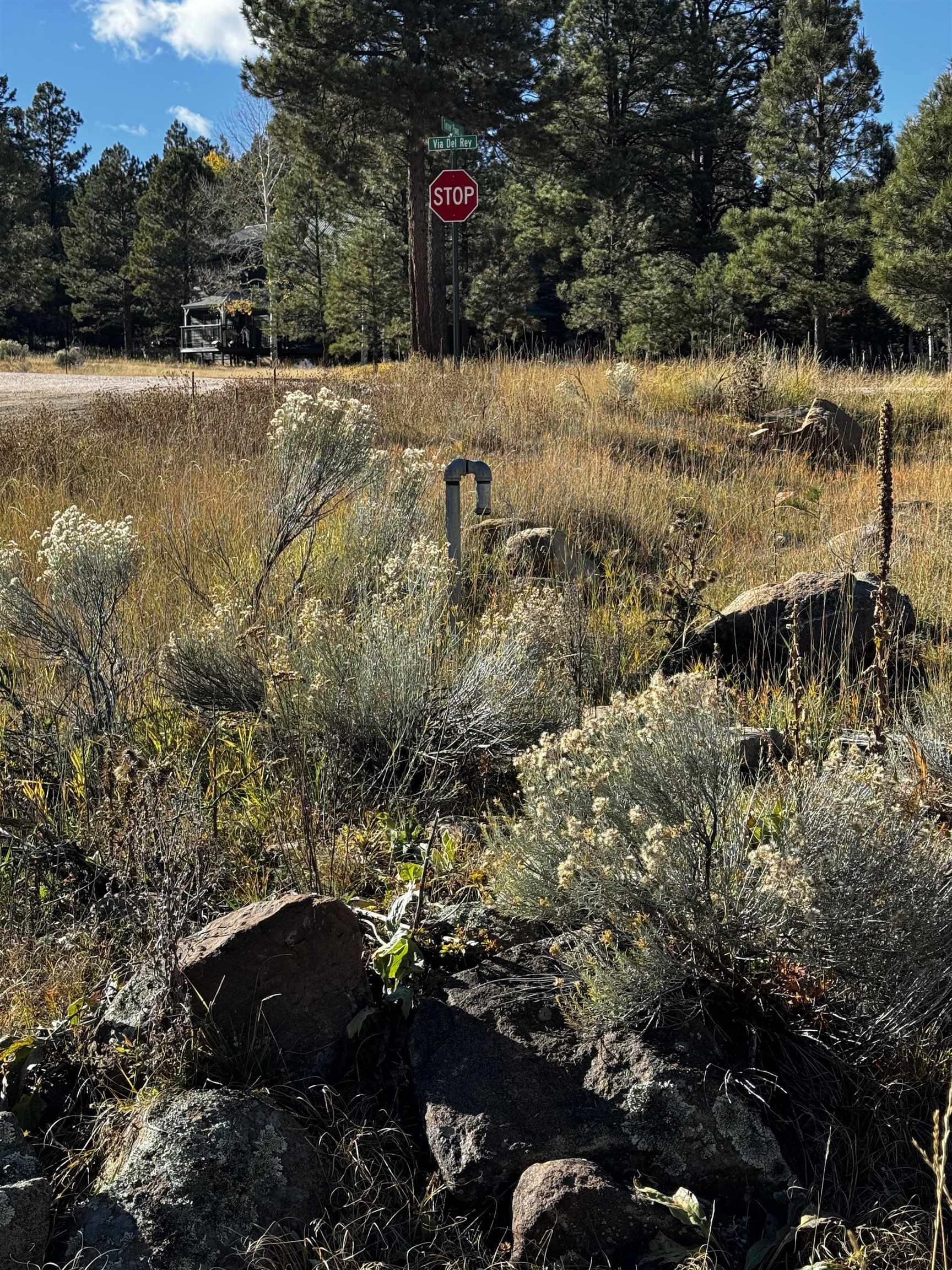 1290 Torrey Pines Ln, Angel Fire, New Mexico image 3