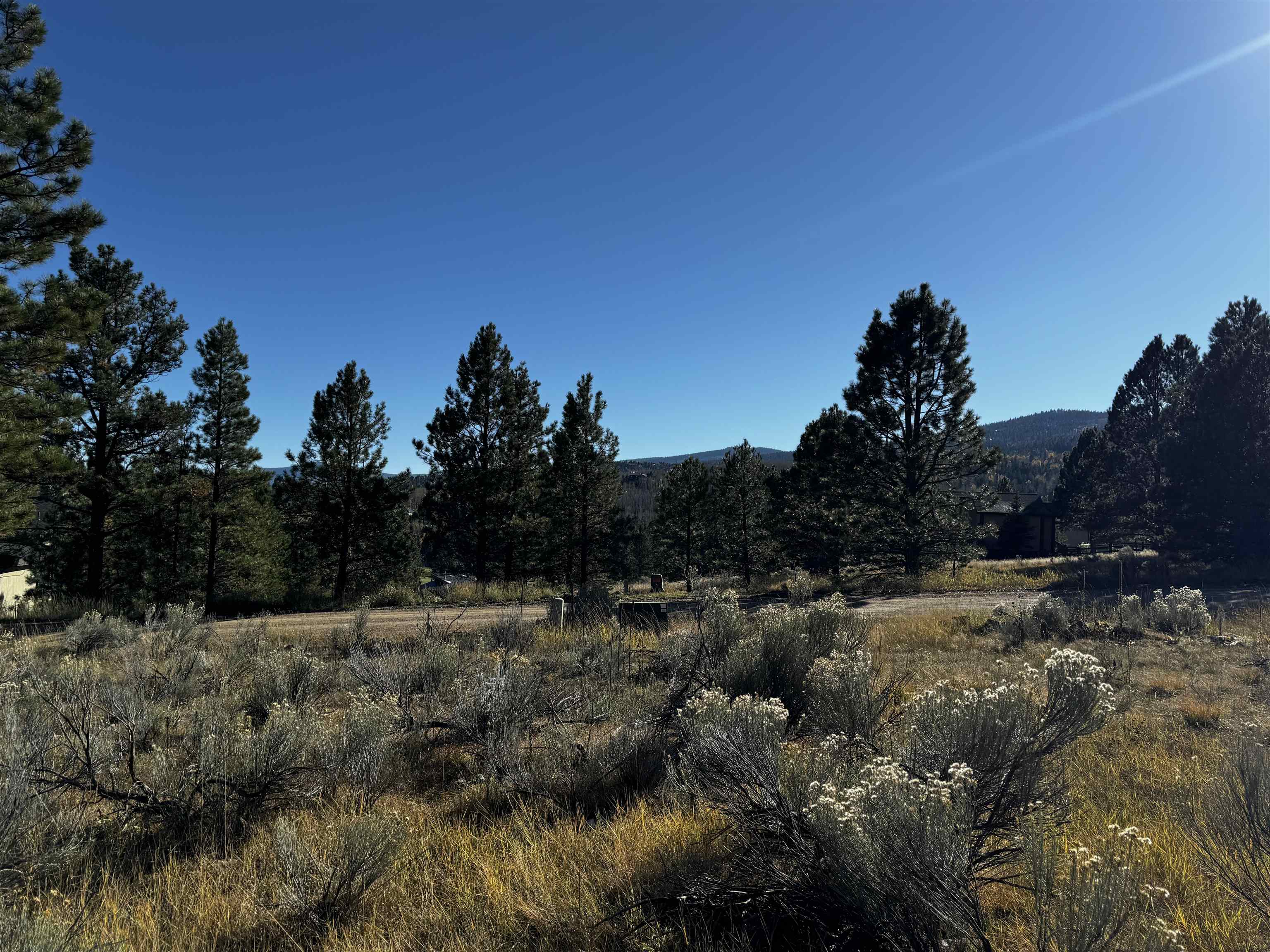 1290 Torrey Pines Ln, Angel Fire, New Mexico image 7