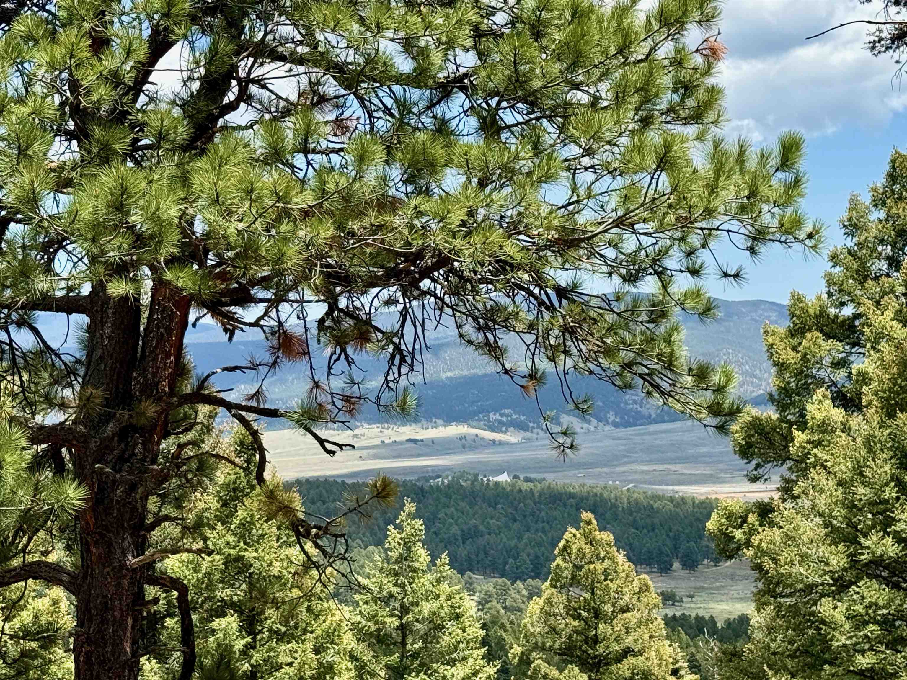 Lot 66 Taos Pines Ranch Road, Angel Fire, New Mexico image 1