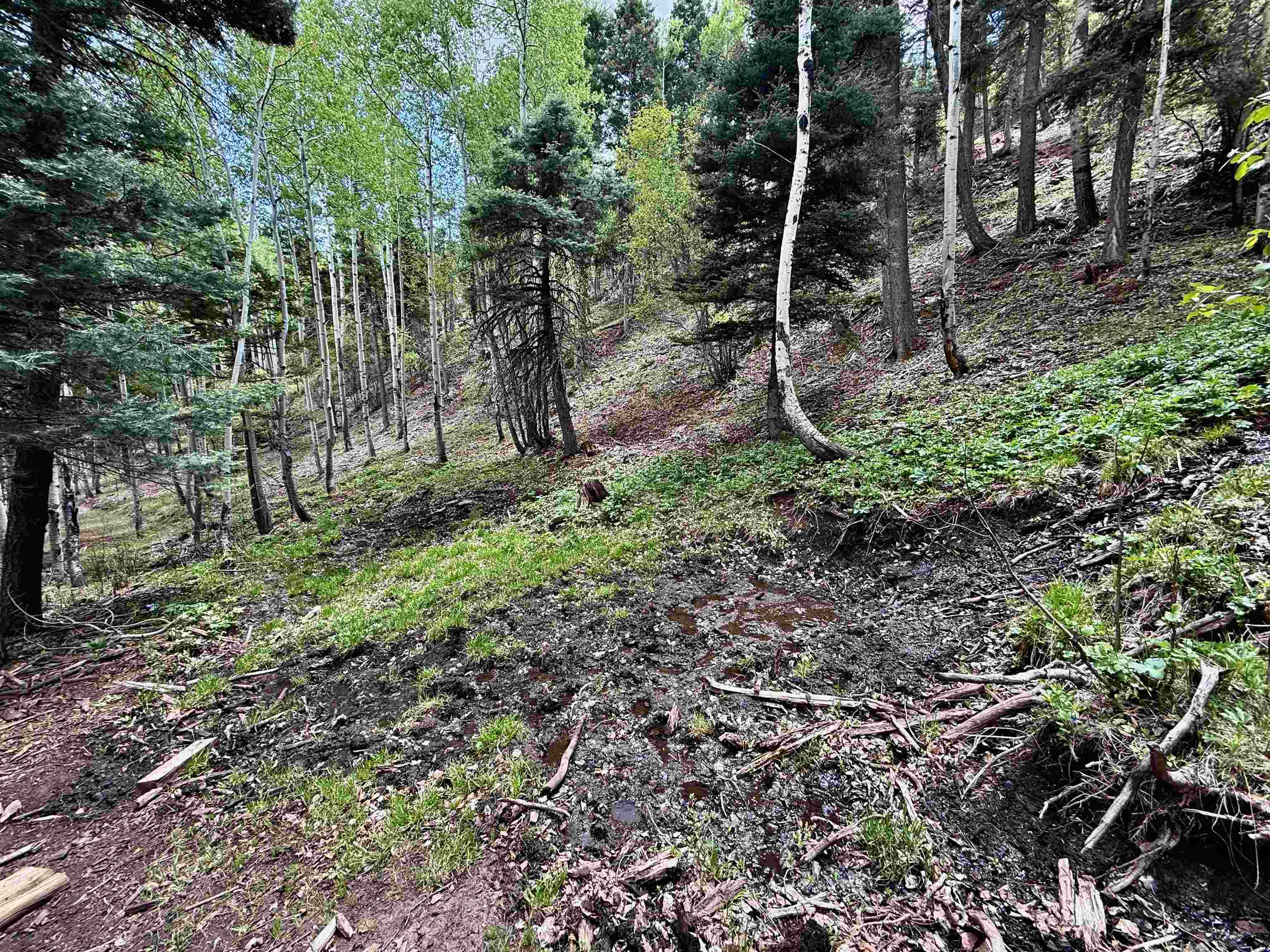 Lot 66 Taos Pines Ranch Road, Angel Fire, New Mexico image 8