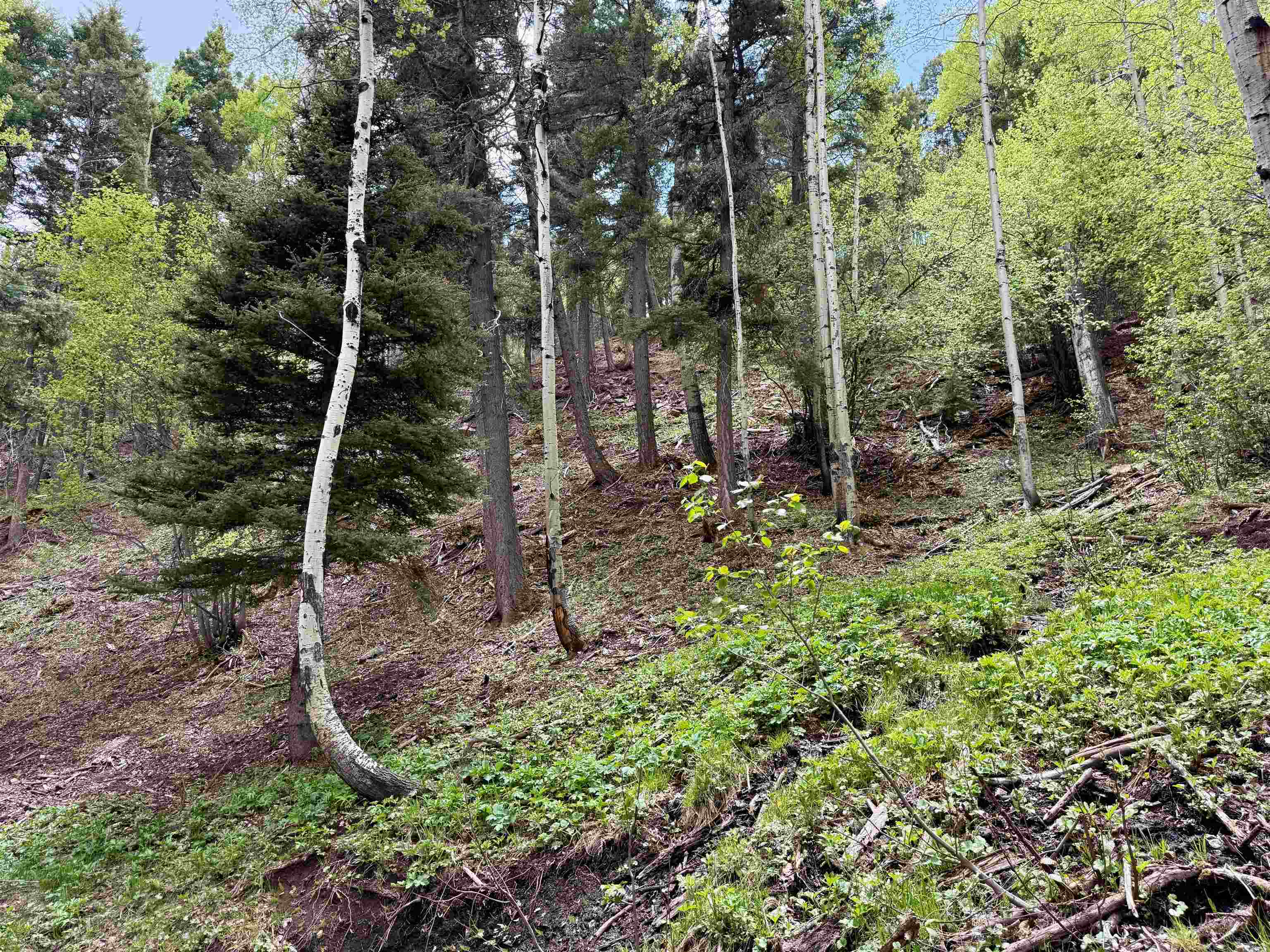 Lot 66 Taos Pines Ranch Road, Angel Fire, New Mexico image 9