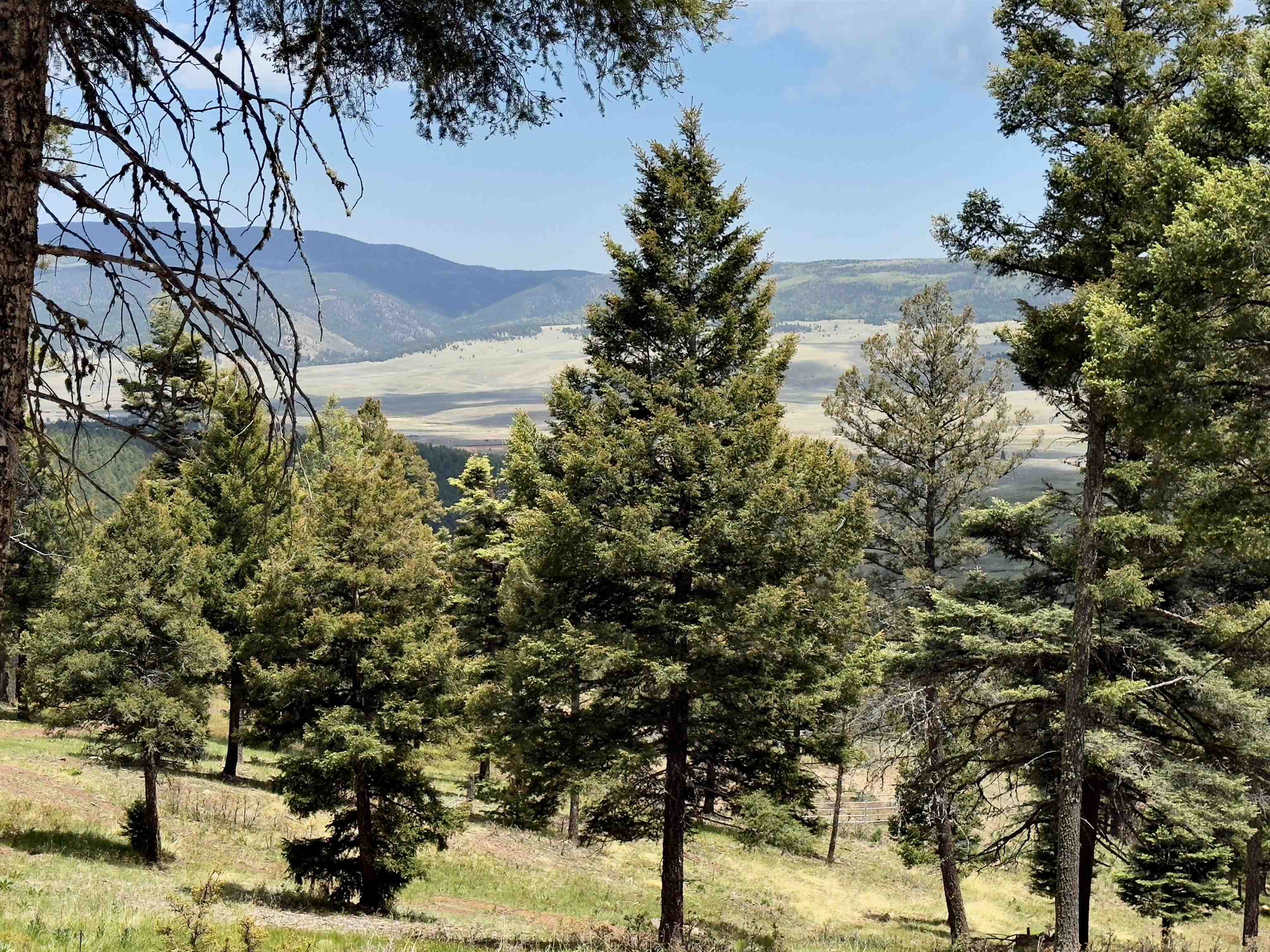 Lot 66 Taos Pines Ranch Road, Angel Fire, New Mexico image 7