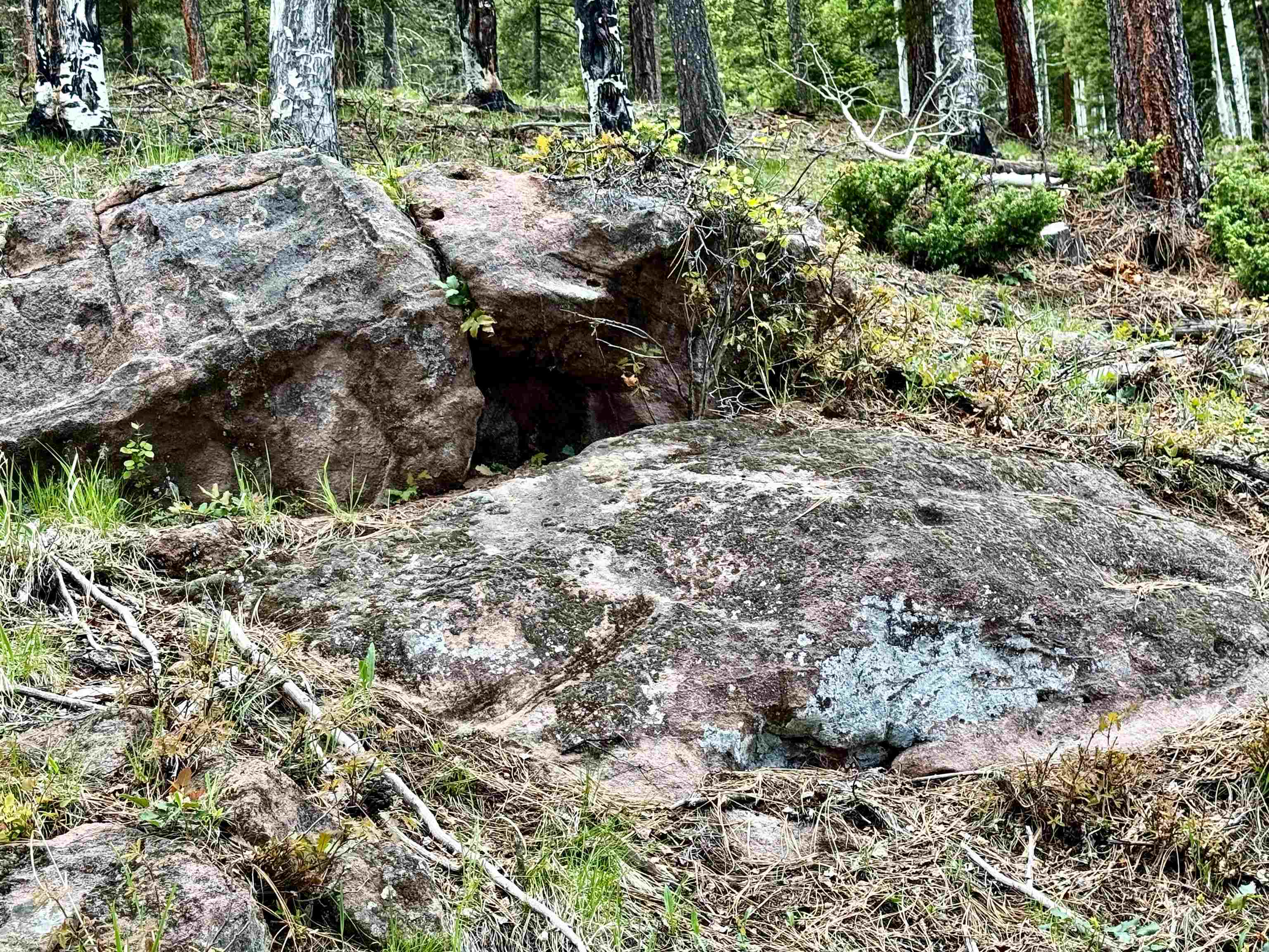 Lot 66 Taos Pines Ranch Road, Angel Fire, New Mexico image 12