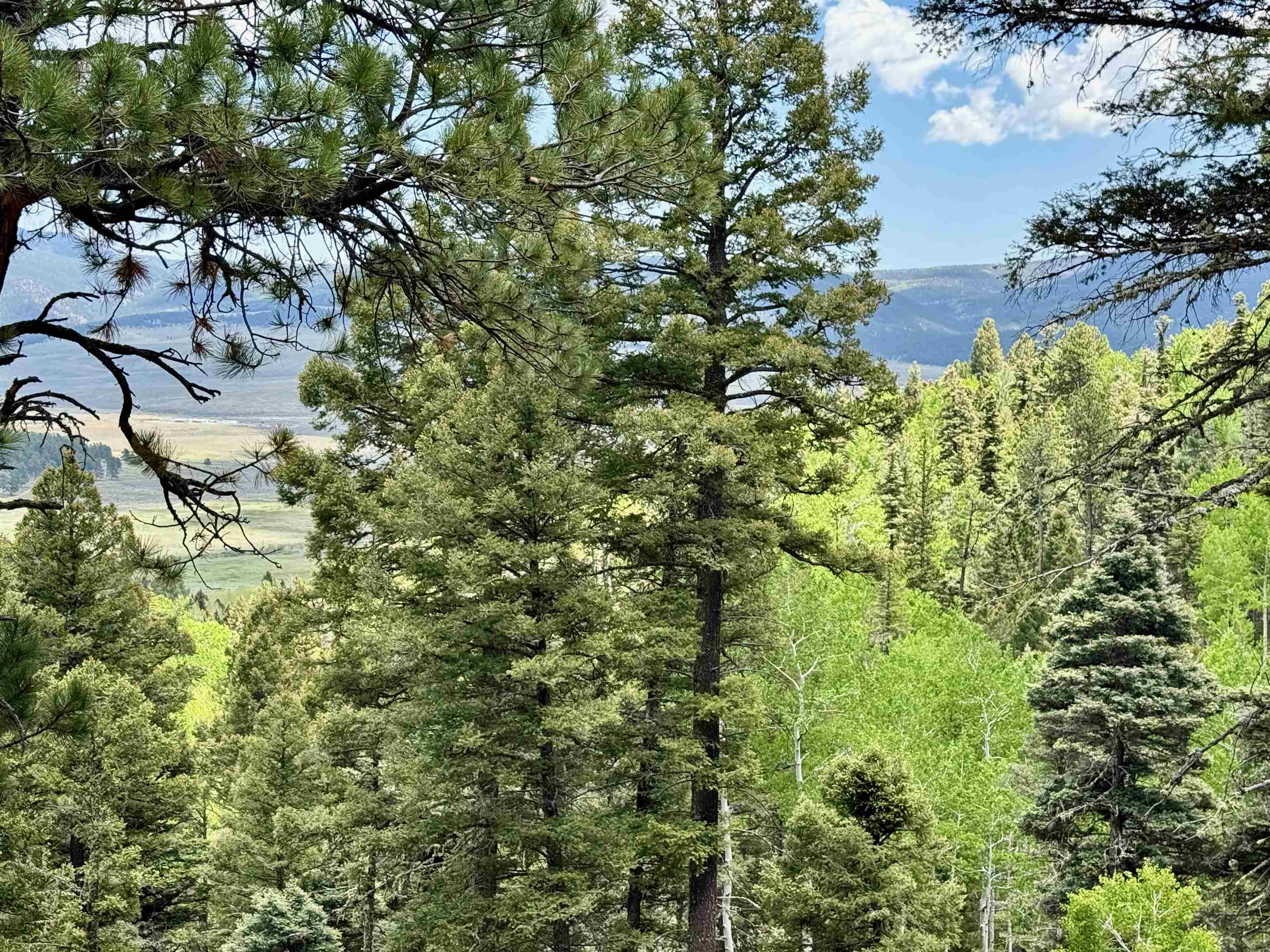 Lot 66 Taos Pines Ranch Road, Angel Fire, New Mexico image 11