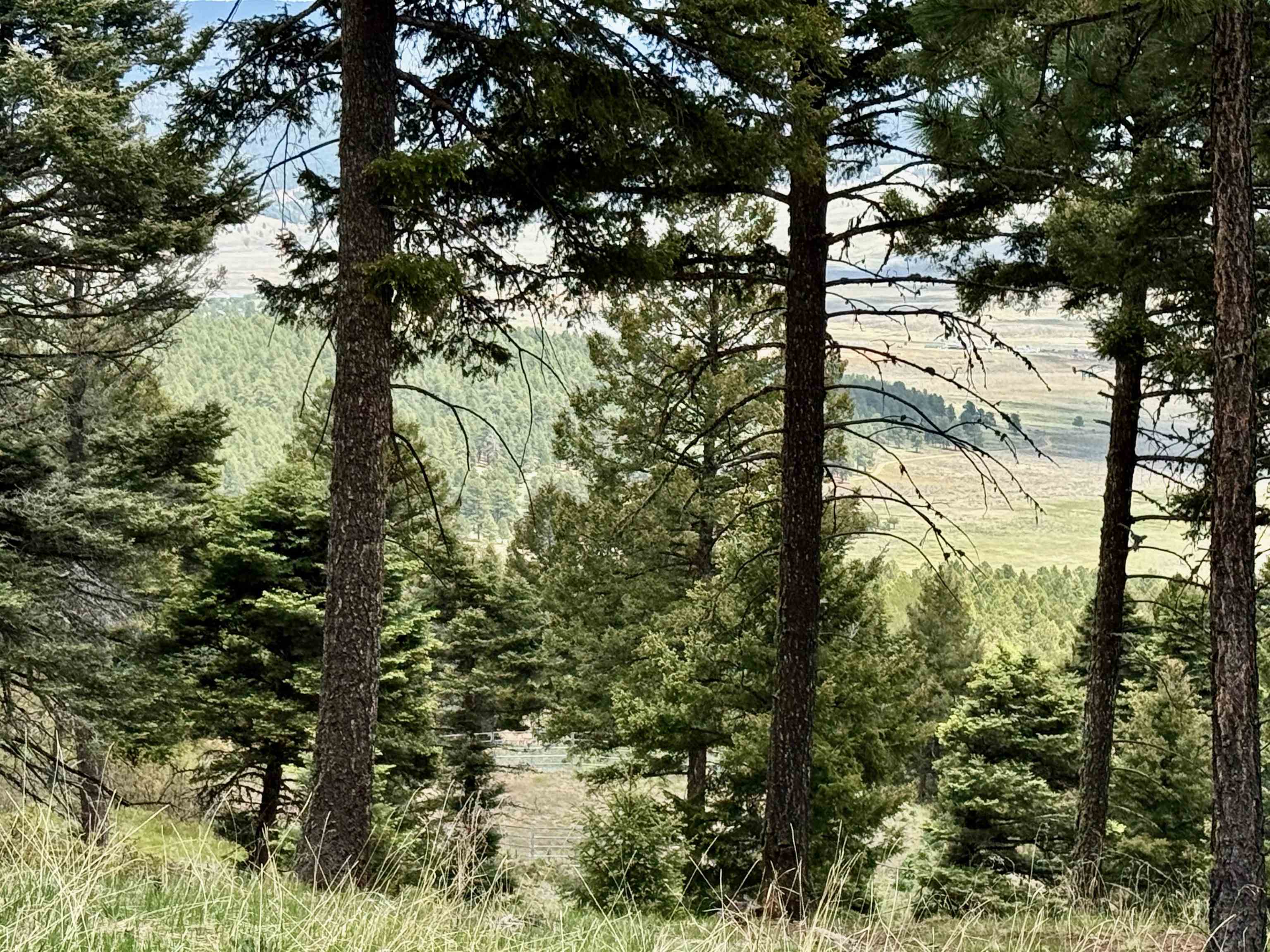 Lot 66 Taos Pines Ranch Road, Angel Fire, New Mexico image 13