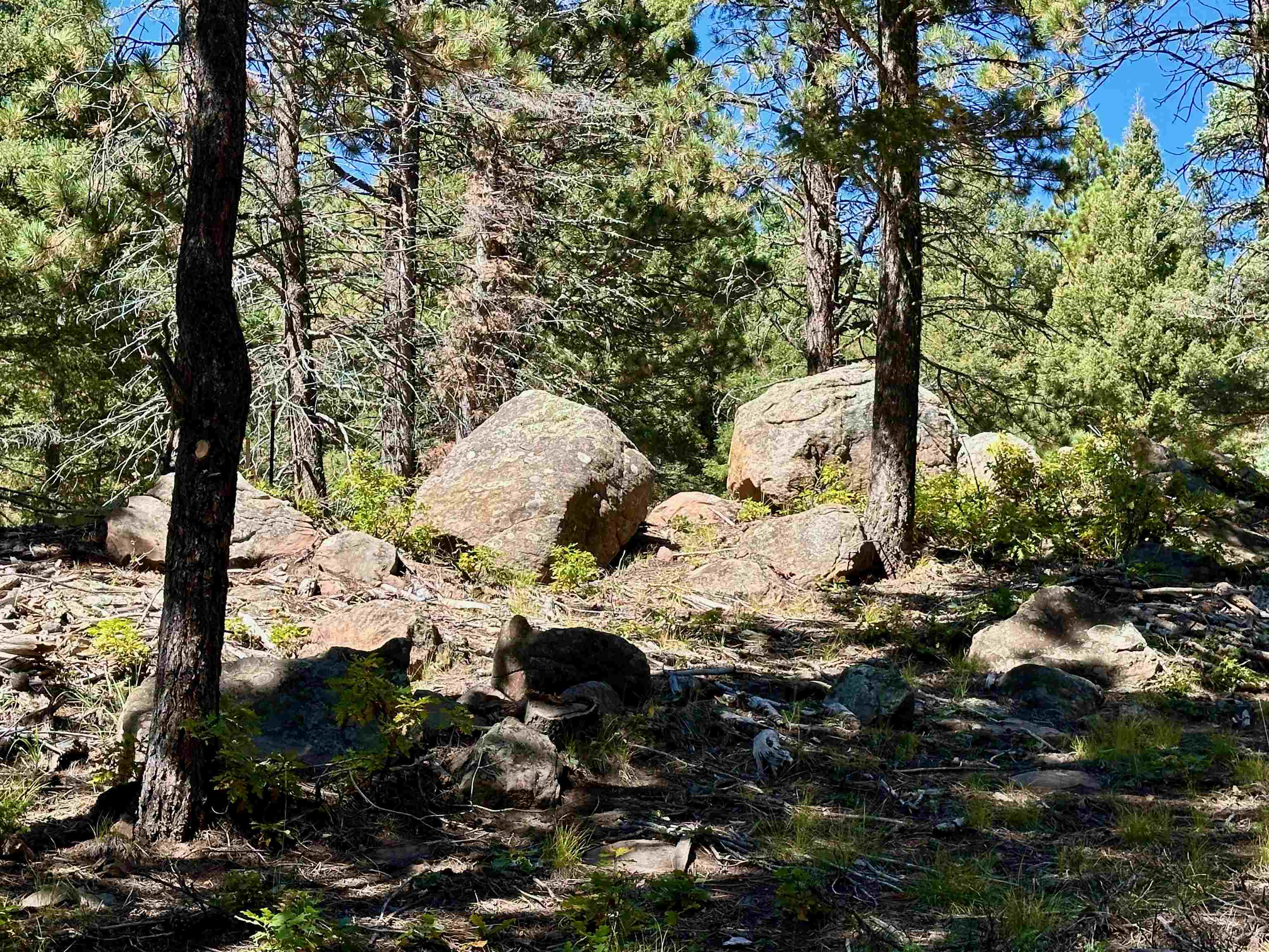 Lot 66 Taos Pines Ranch Road, Angel Fire, New Mexico image 4