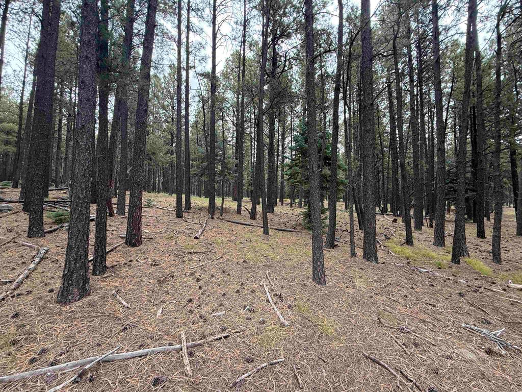 Photo of Lot 115 San Juan Dr, Angel Fire, NM 87710 (MLS # 114054)