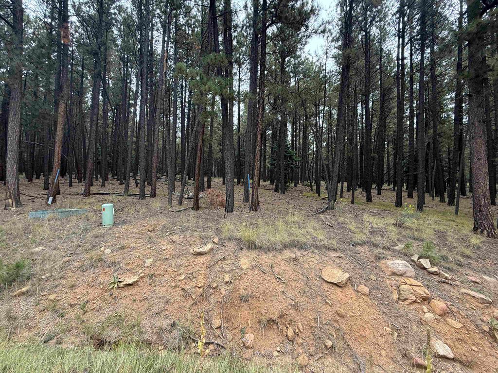 Photo of Lot 115 San Juan Dr, Angel Fire, NM 87710 (MLS # 114054)