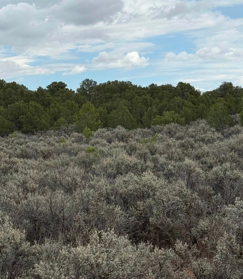 Vacant Land For Sale - LOT 2 Colorado Rd<br/> Tres Piedras, NM 87577