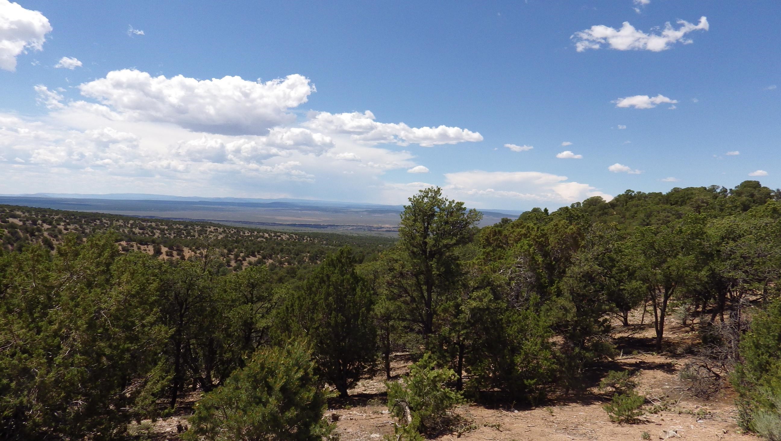 000 Brazelton Road, Ranchos de Taos, New Mexico image 1