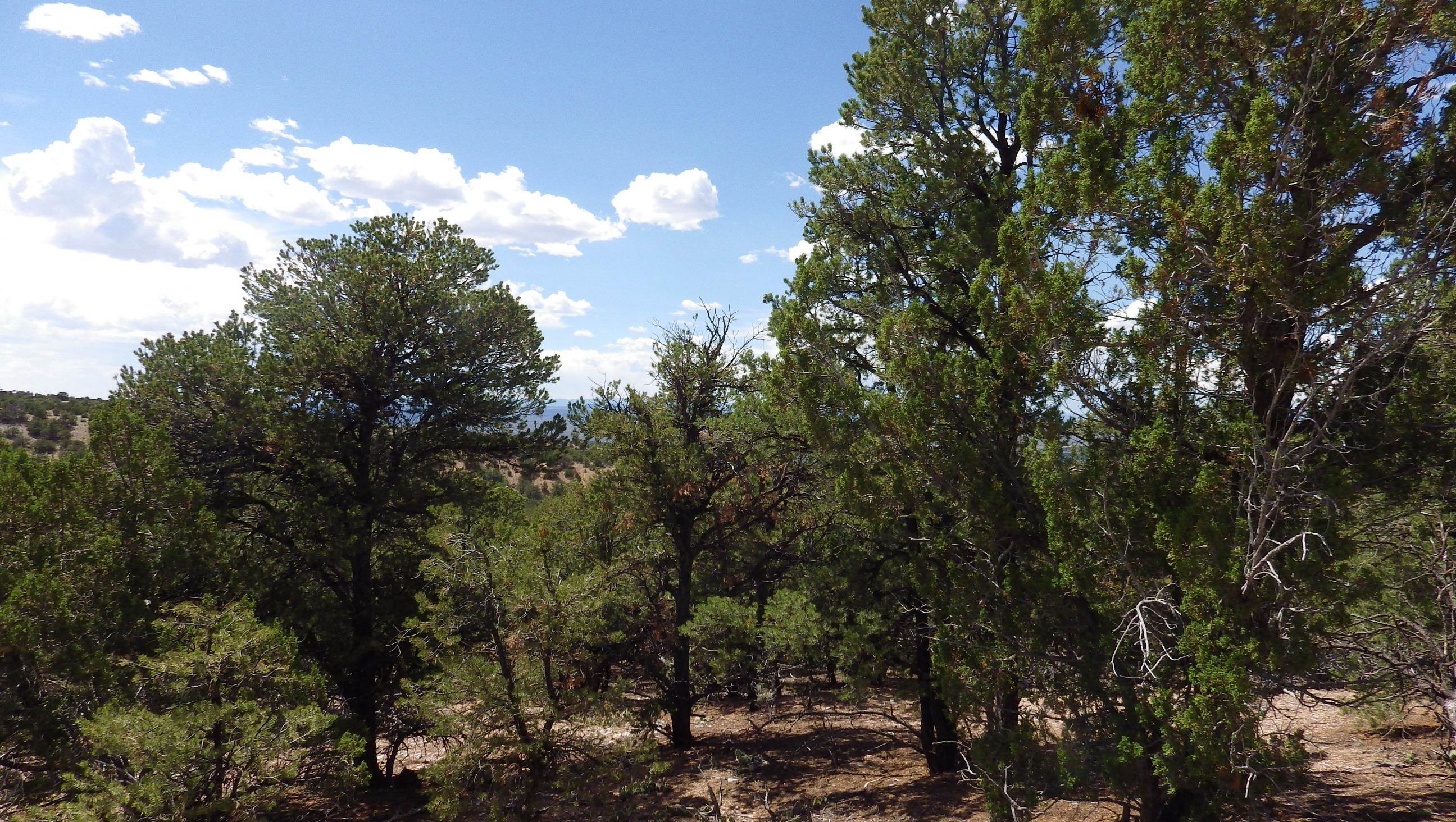 000 Brazelton Road, Ranchos de Taos, New Mexico image 13