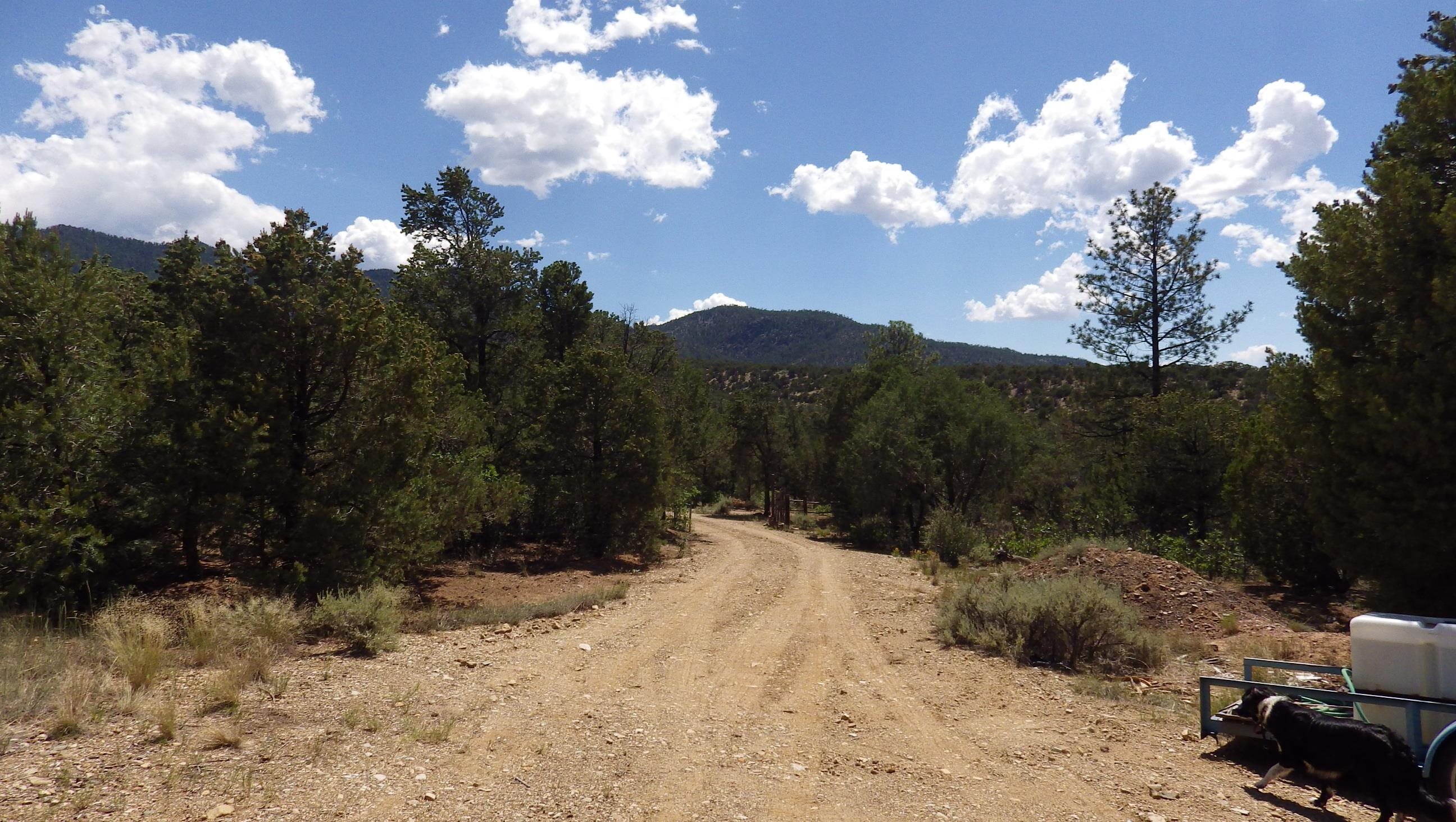 000 Brazelton Road, Ranchos de Taos, New Mexico image 8