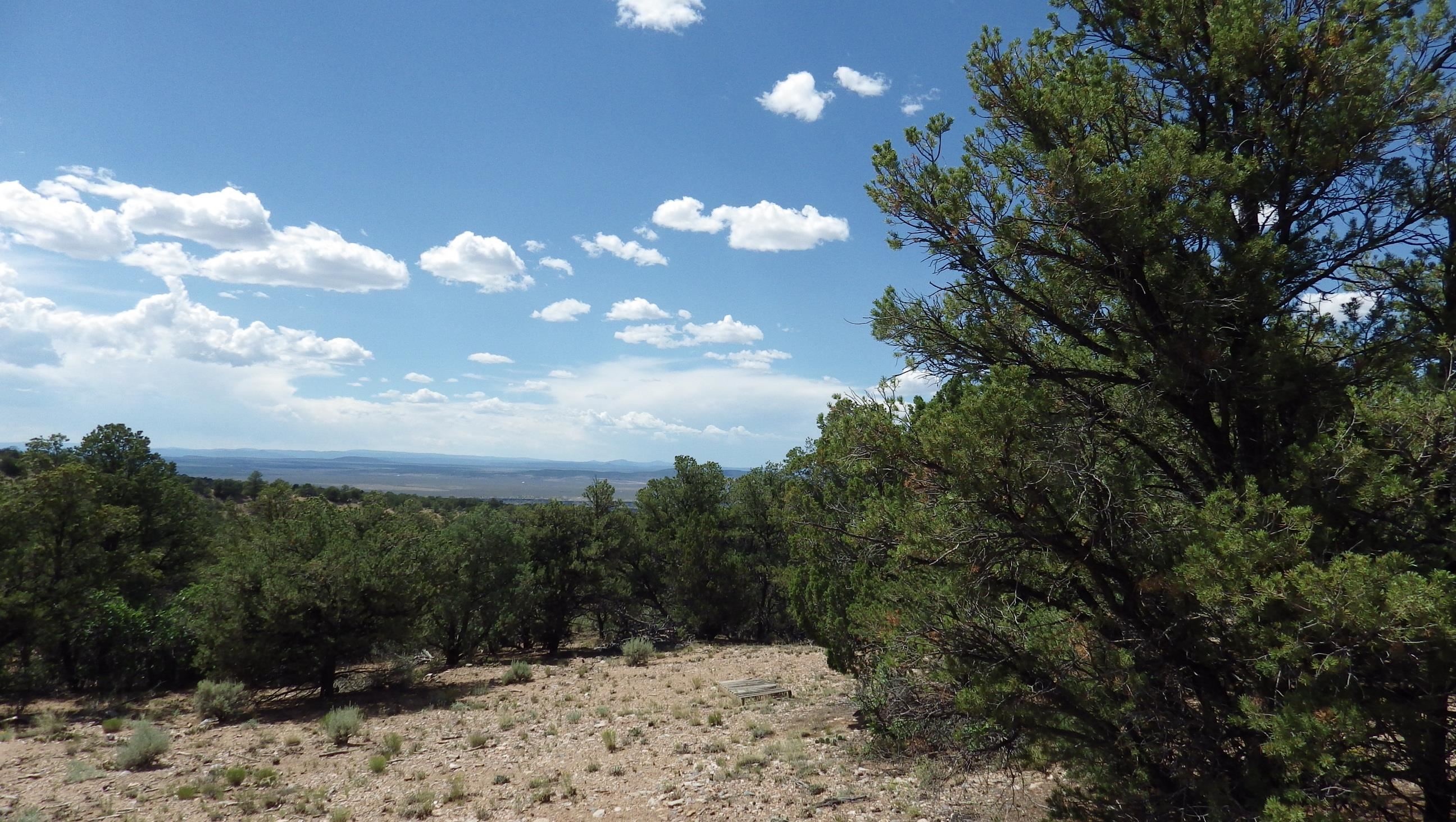 000 Brazelton Road, Ranchos de Taos, New Mexico image 14