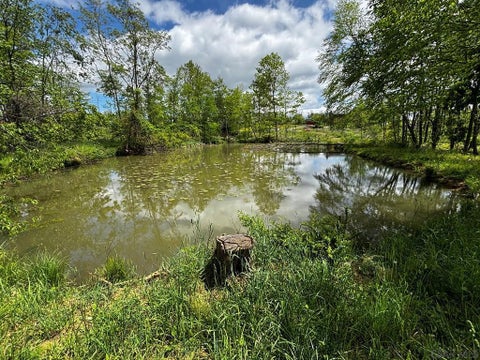 Photo for Ridge Road